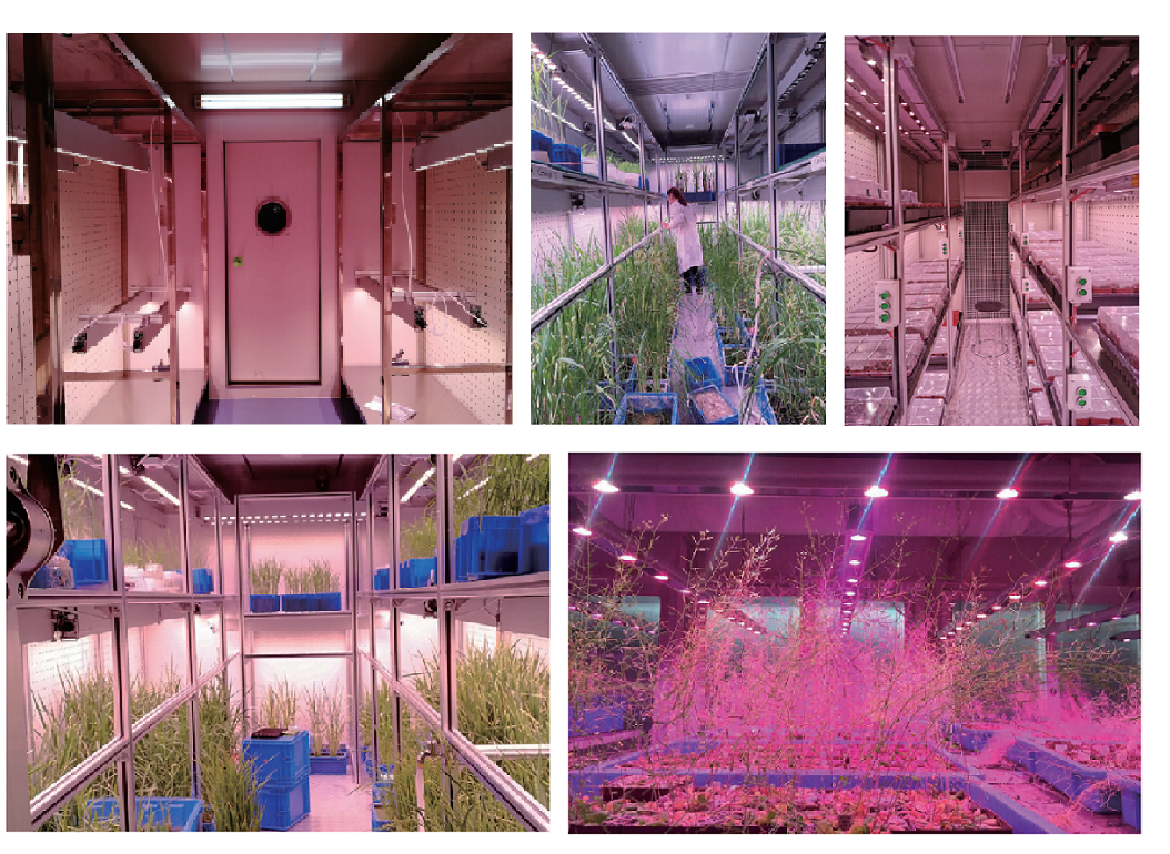 培養架型氣候室.png